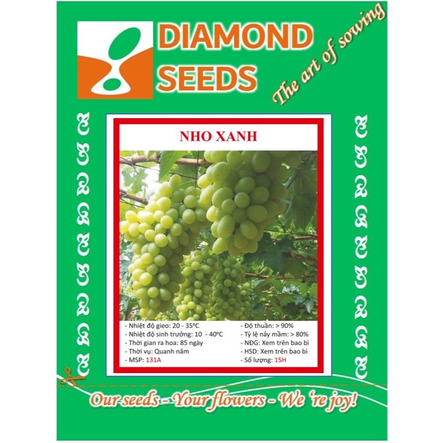 Hạt giống nho xanh leo giàn 15-20 hạt - HÀNG CÔNG TY