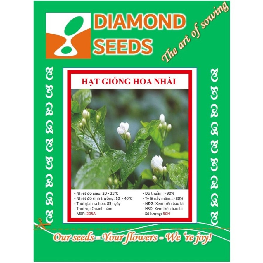 Gói 50 hạt giống hoa nhài - HÀNG CÔNG TY