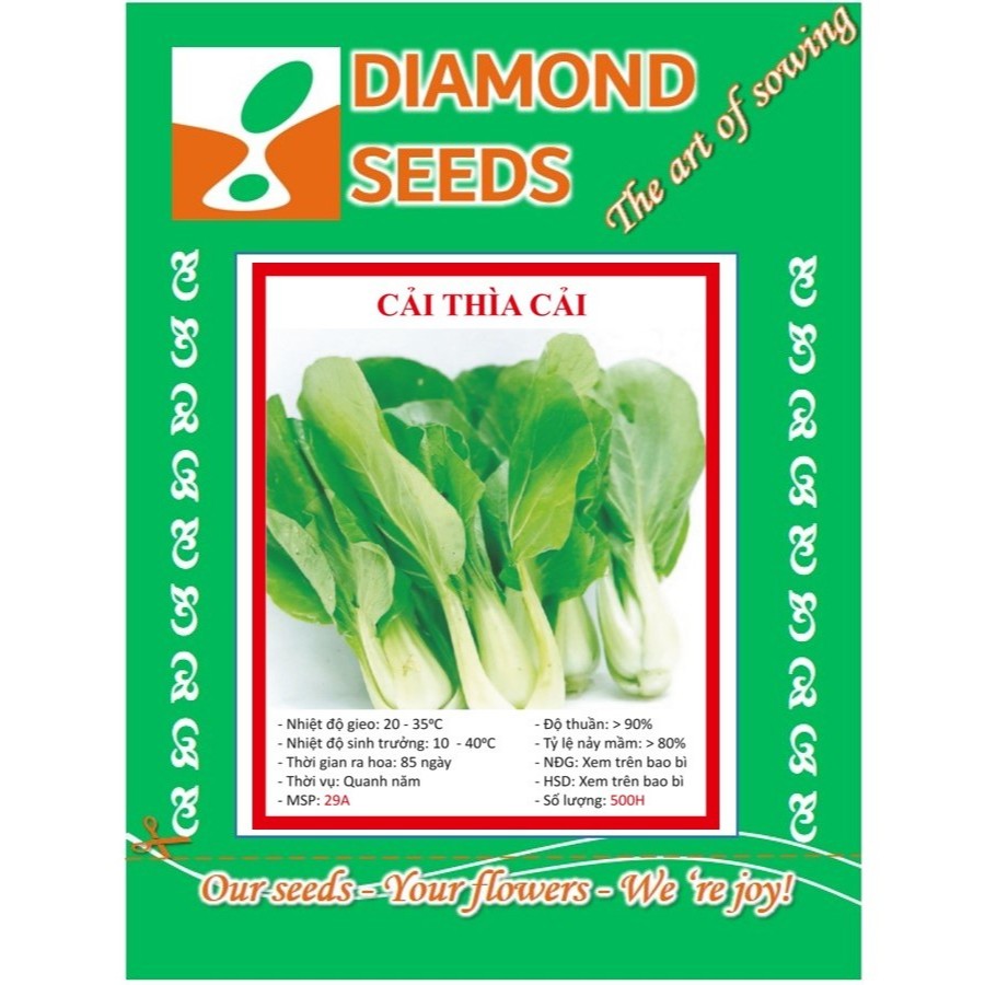 Hạt giống Cải Chít CẢI CHIP 3 GRAM 500 HẠT - HÀNG CÔNG TY