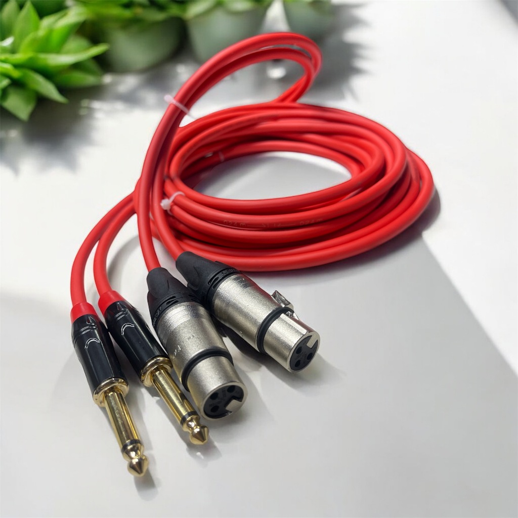Cáp bàn DJ Canon ra 6.35 mm - xuất tín hiệu từ DJ ra Loa (dây mềm dẻo) - 5m | DJ Cable | XLR to 6.5m