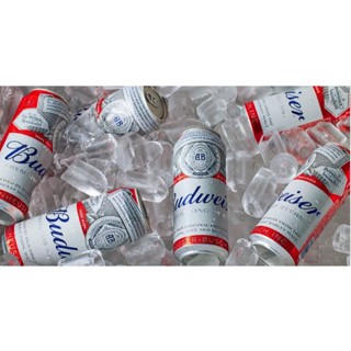  Bia Budwesiser Sleek Can Chính Hãng - 330ml  Thùng 24 lon  
