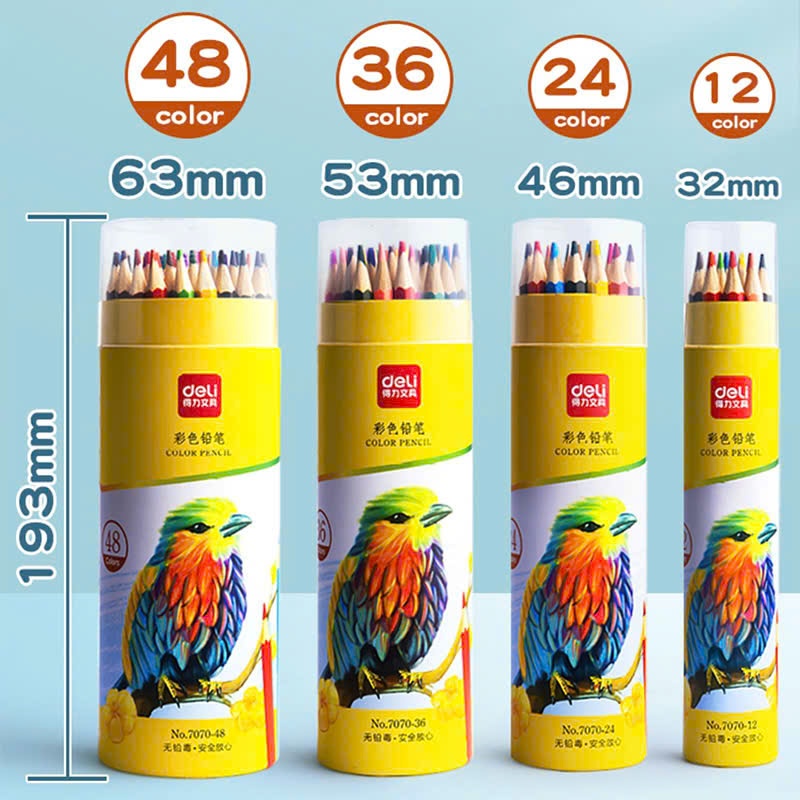Bút chì màu gốc dầu Deli 7070 48 màu / Bút chì màu Deli cao cấp. Màu sắc tươi sáng