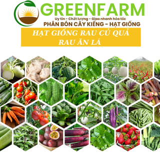  TỔNG HỢP HẠT GIỐNG RAU ĂN LÁ - CỦ QUẢ  NẢY MẦM TỐT - NĂNG SUẤT CAO -  DỄ TRỒNG - CHẤT LƯỢNG- HẠT GIỐNG KING PHƯƠNG ĐÔNG 