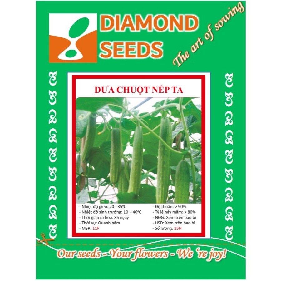 Hạt giống Dưa Chuột Nếp Ta 15 Hạt - HÀNG CÔNG TY