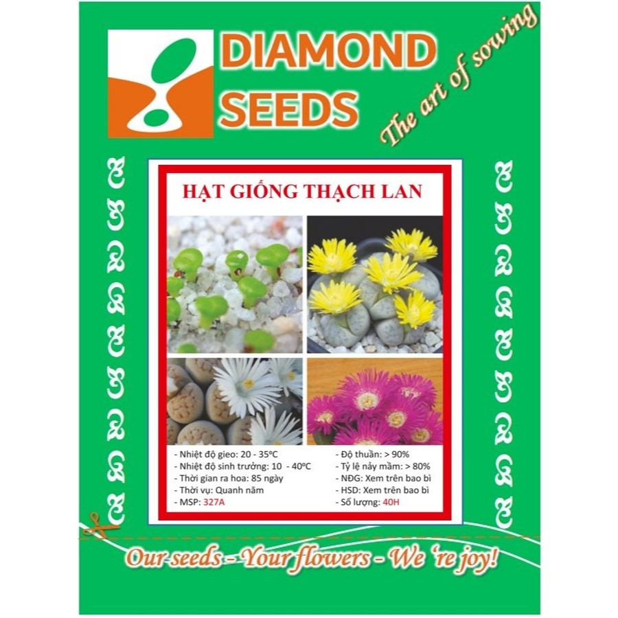 HẠT GIỐNG THẠCH LAN MIX MÀU - HÀNG CÔNG TY