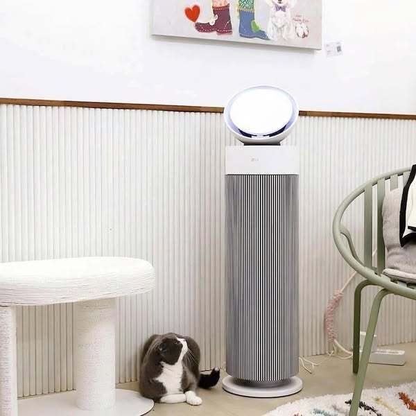Máy lọc không khí LG PuriCare Aero Booster Pet AS55GGSY0