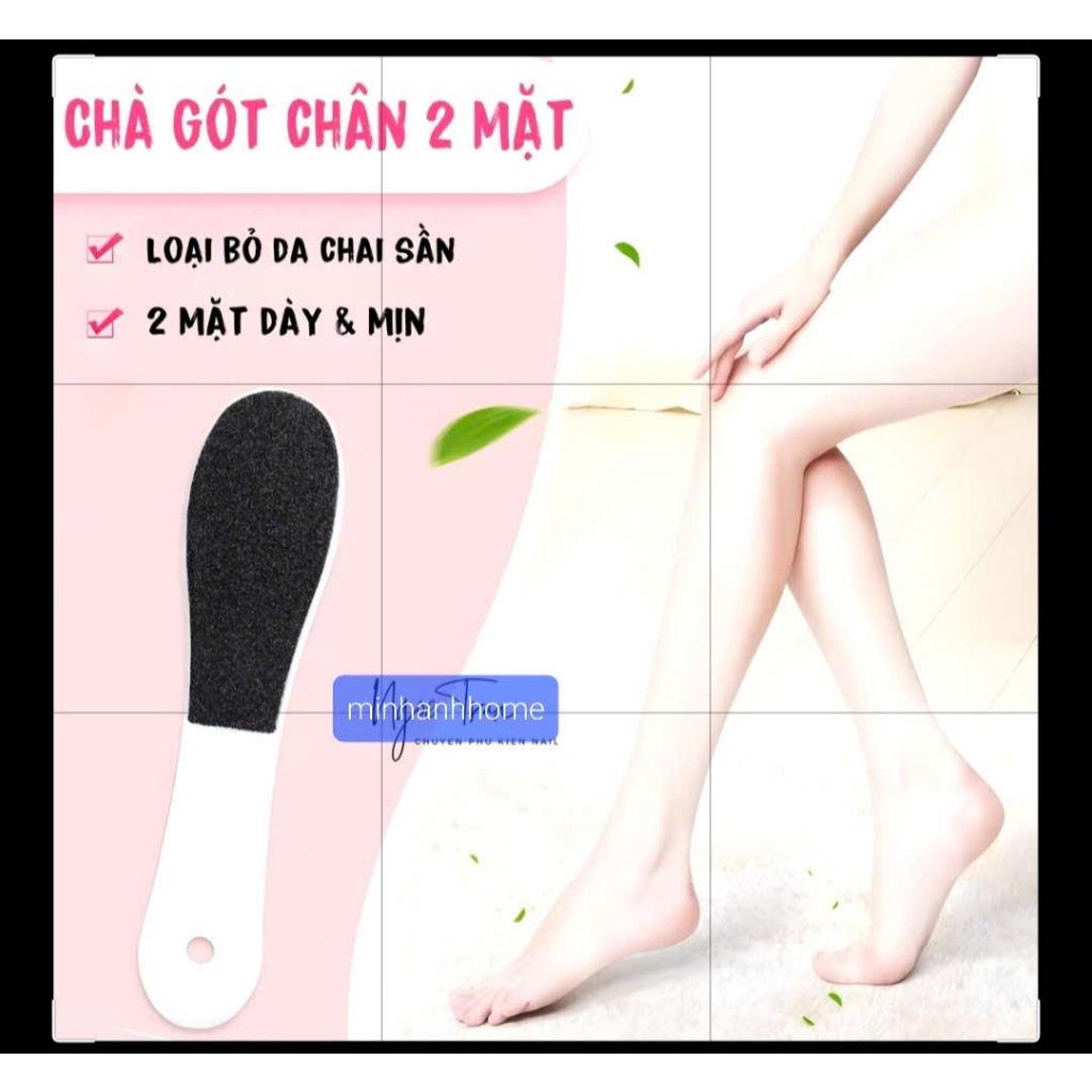 Cây Nhám chà gót chân ( chà khô )