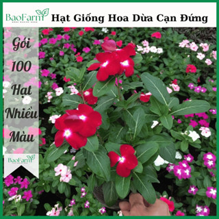 Hạt Giống Hoa Dừa Cạn Đứng Mix Nhiều Màu (Gói 100 Hạt)  - BaoFarm