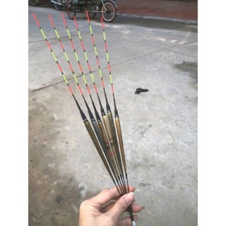 Phao điện cỏ lau Nghệ nhân LY chuyên rô, diếc báo tín hiệu nhạy