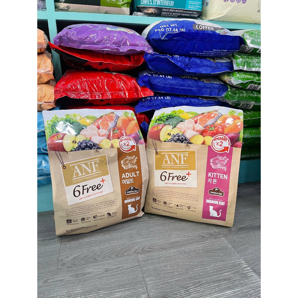 THỨC ĂN HẠT CHO MÈO CON ANF 6 FREE INDOOR KITTEN