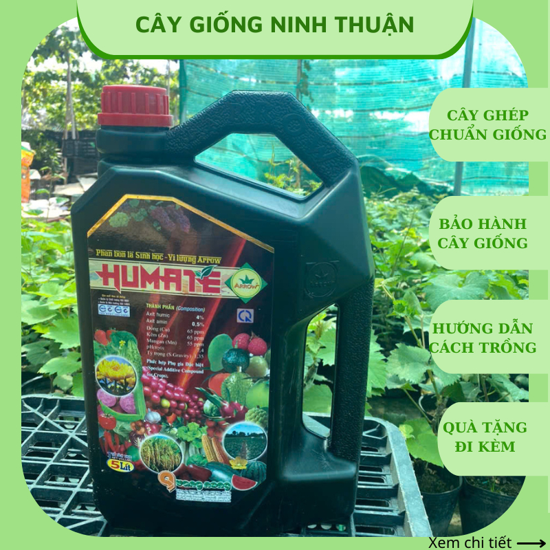 Phân bón vi lượng Humate Humic hữu cơ phục hồi cây ra rễ mạnh PB14