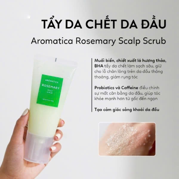 tẩy da chết da đầu Aromatica
