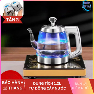 Bộ Đun Nước Điện Tự Động Pha Trà Tại Bàn Mẫu Đơn Ấm Siêu Tốc-Led Màu Khi Sôi