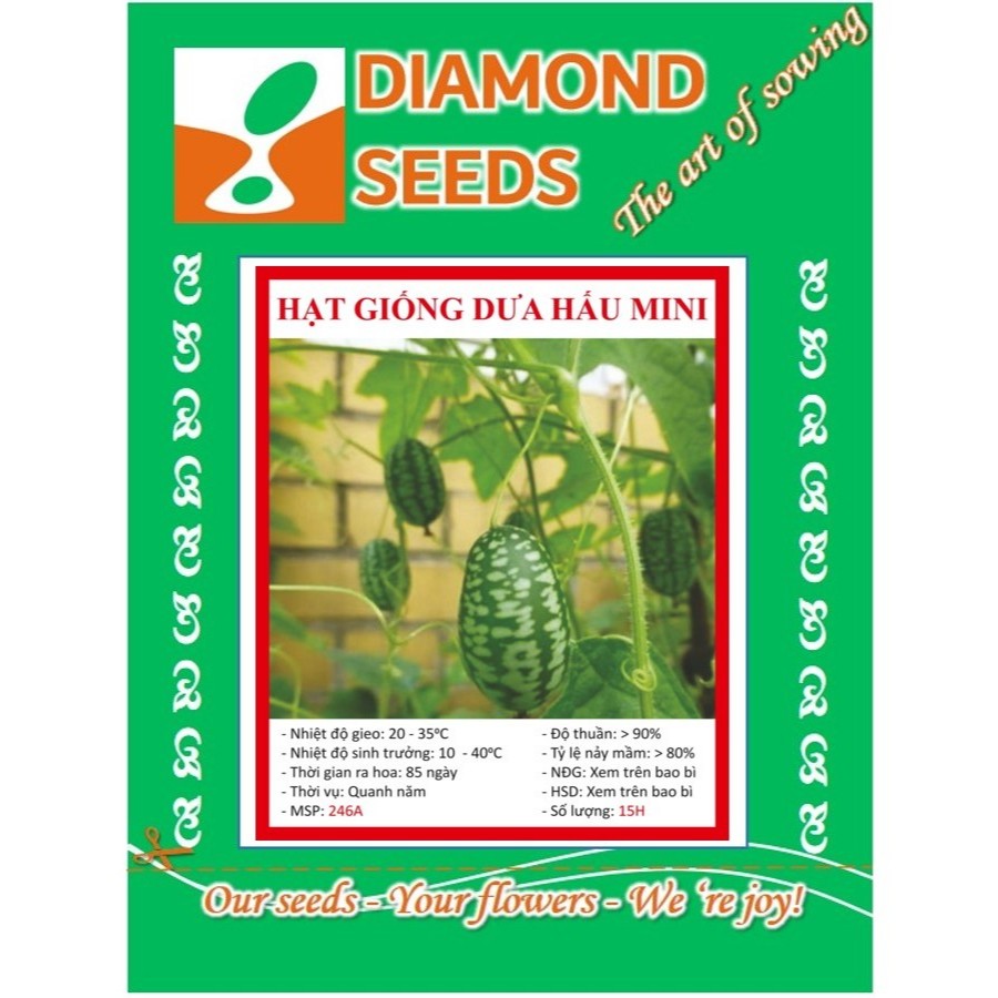 Hạt Giống Dưa Hấu Mini - 10 Hạt - HÀNG CÔNG TY