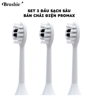  Set 3 đầu bàn chải sạch sâu thay thế Brushie Promax siêu tiết kiệm 