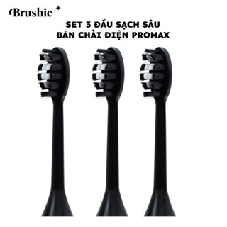  Set 3 đầu bàn chải sạch sâu cho bàn chải Brushie Promax 