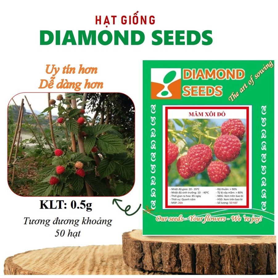 [HÀNG CHÍNH HÃNG] Hạt Giống Quả Mâm Xôi Đỏ 30 Hạt