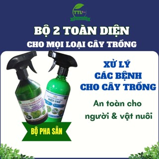 [Bộ đôi toàn diện] bảo vệ cây trong bộ phân bón cho cây cảnh hoa hồng mai vàng khỏe đẹp