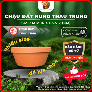 Chậu đất nung - Chậu trồng sen đá, xương rồng - Chậu trồng cây - Chậu thau trung 12-16cm x 5.5-7cm