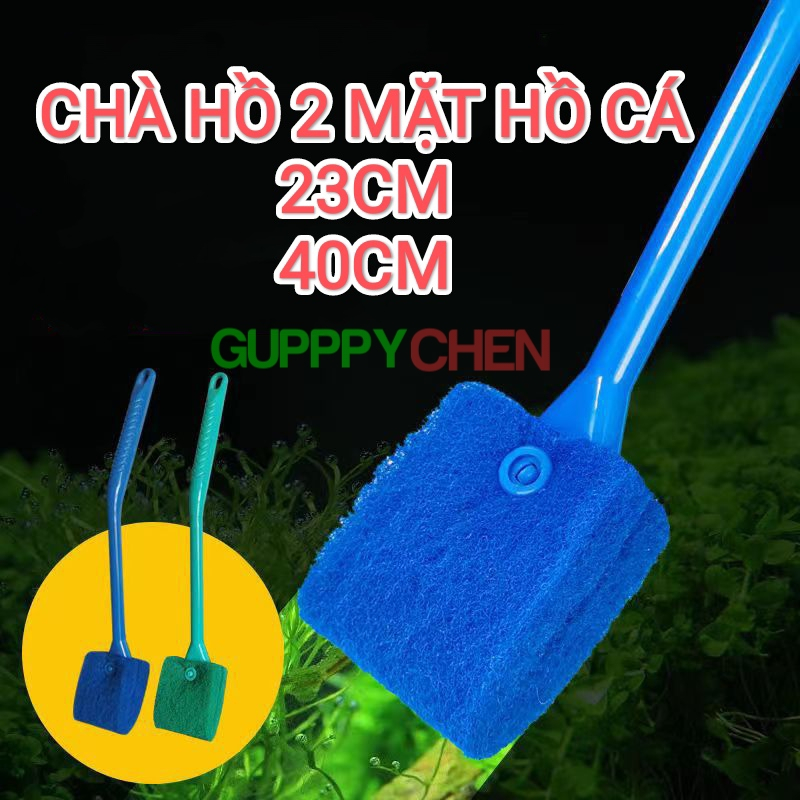 Cây vệ sinh hồ cá 2 mặt - Cây Chà Hồ Cá Hồ Thủy Sinh