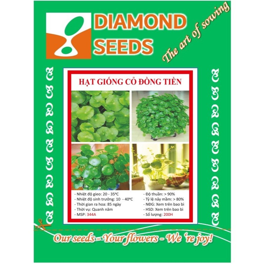 Hạt Giống CỎ ĐỒNG TIỀN - 100 Hạt - HÀNG CÔNG TY
