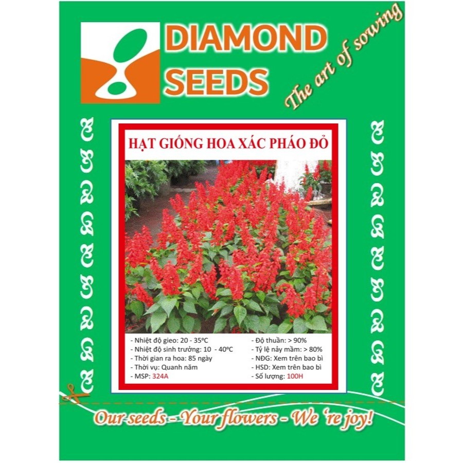 Hạt Giống Hoa Xác Pháo Đỏ - 50 Hạt - HÀNG CÔNG TY