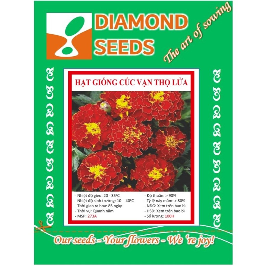 HẠT GIỐNG CÚC VẠN THỌ ONG LỬA gói 50 hạt - HÀNG CÔNG TY
