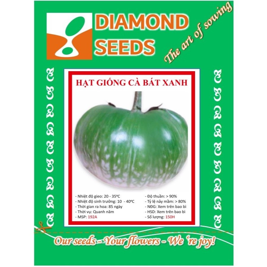 HẠT GIỐNG CÀ BÁT XANH - gói 1 gam - HÀNG CÔNG TY