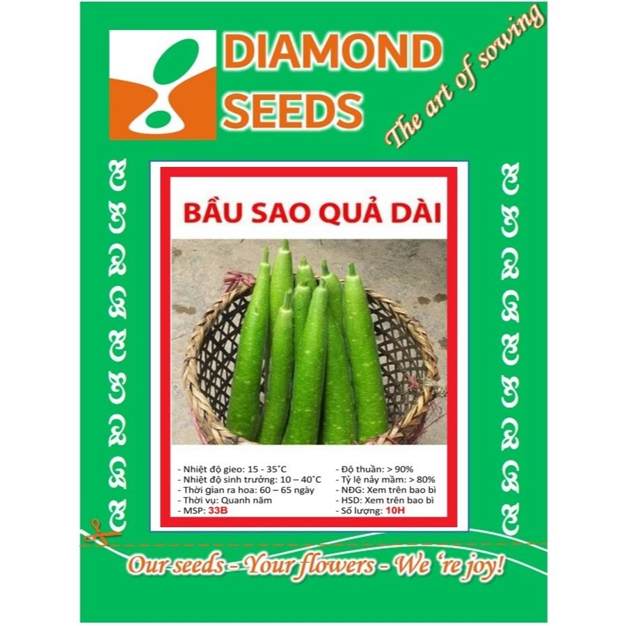 [GIÁ GỐC] Hạt giống bầu sao quê quả dài - 10 hạt - HÀNG CÔNG TY