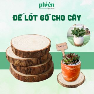 Đế Lót Gỗ Cho Chậu Cây, Trang trí sen đá, Cây Để Bàn Văn Phòng, Phụ kiện Tiểu cảnh mini