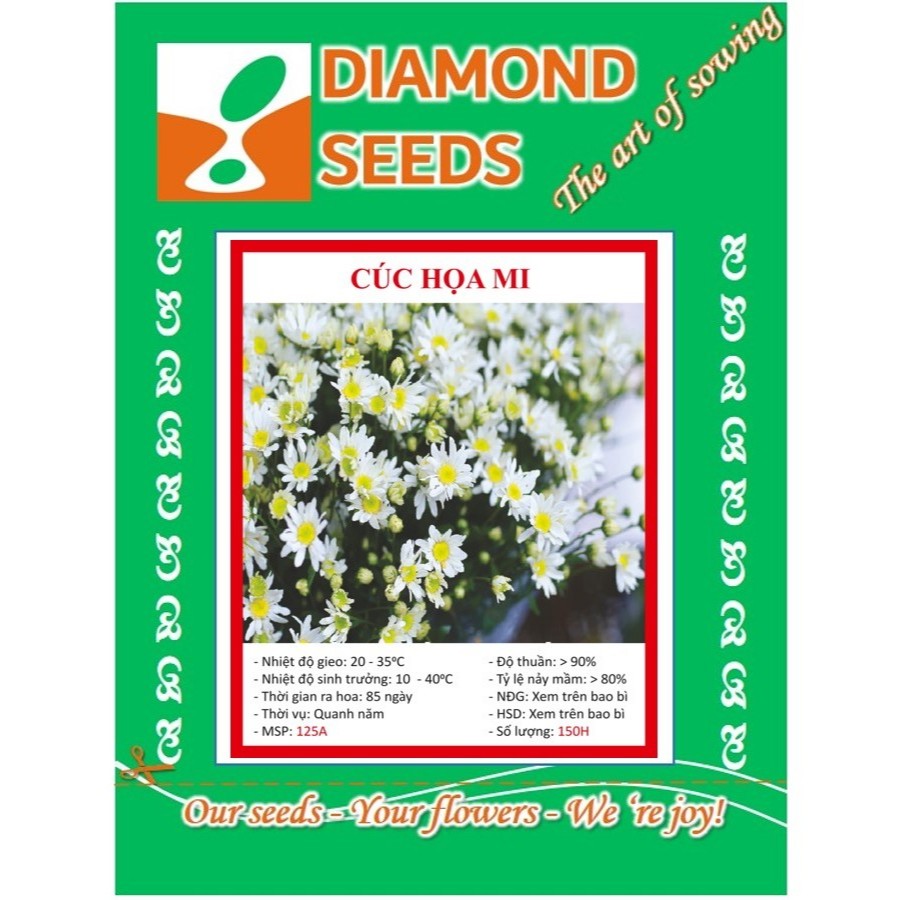 Hạt giống Hoa Cúc Họa My - 100 Hạt - HÀNG CÔNG TY