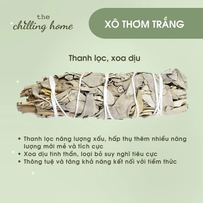 Xô Thơm Trắng (White Sage)