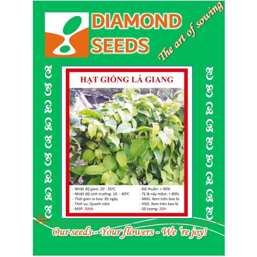 20 HẠT GIỐNG LÁ GIANG - HÀNG CÔNG TY