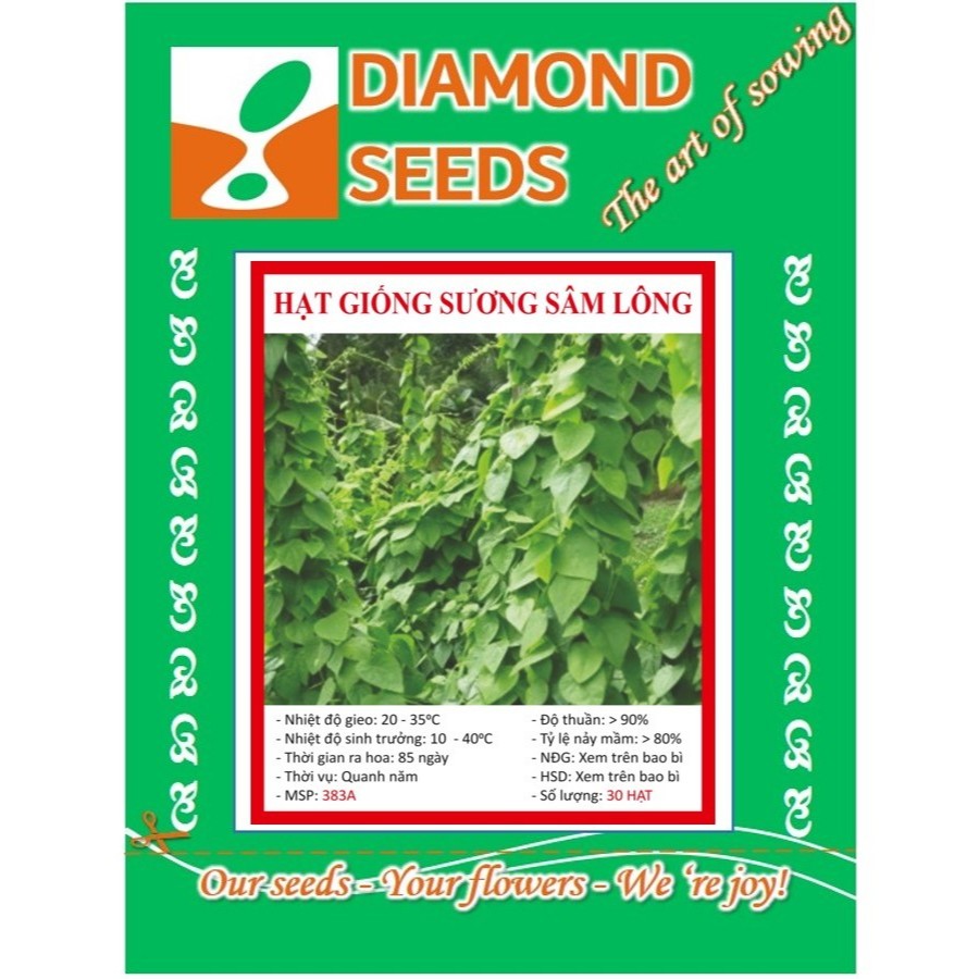 HẠT GIỐNG SƯƠNG SÂM LÔNG - 35 hạt/ gói - HÀNG CÔNG TY