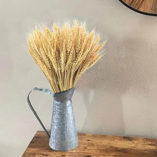 Bó lúa mì tự nhiên, Bó lúa mạch decor trang trí, chụp ảnh sản phẩm Lamdecor