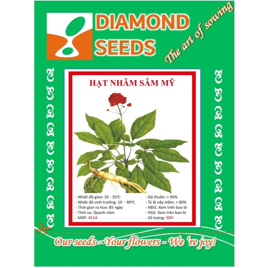 Hạt Giống Nhân Sâm Mỹ - Gói 50 Hạt - HÀNG CÔNG TY