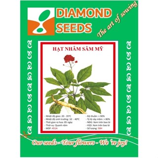 Hạt Giống Nhân Sâm Mỹ - Gói 50 Hạt - HÀNG CÔNG TY