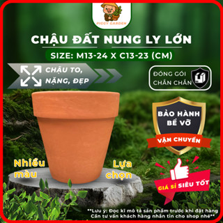 Chậu đất nung - Chậu trồng sen đá, xương rồng - Chậu trồng cây - Chậu cây - Chậu ly lớn 13-21cm