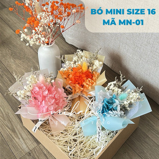   Best seller  Bó hoa khô mini size 16cm làm quà tặng trang trí hộp quà decor chụp ảnh sản phẩm handmade by Mihalen 