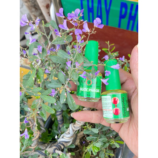  Nước pha Sơn gel siêu sạch siêu nhanh YES ter DAY 15ml hàng cty chính hãng 