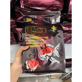 Thức ăn Cám MEGA JUMBO ĐẠM 45% thức ăn quốc dân dành cho cá vàng bơm size body cực tốt