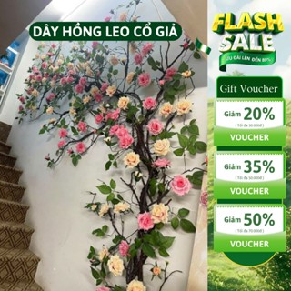  Dây hoa giả Dây hồng leo cổ giả dài 2m thân mềm dễ uốn decor và trang trí tiệc cưới 