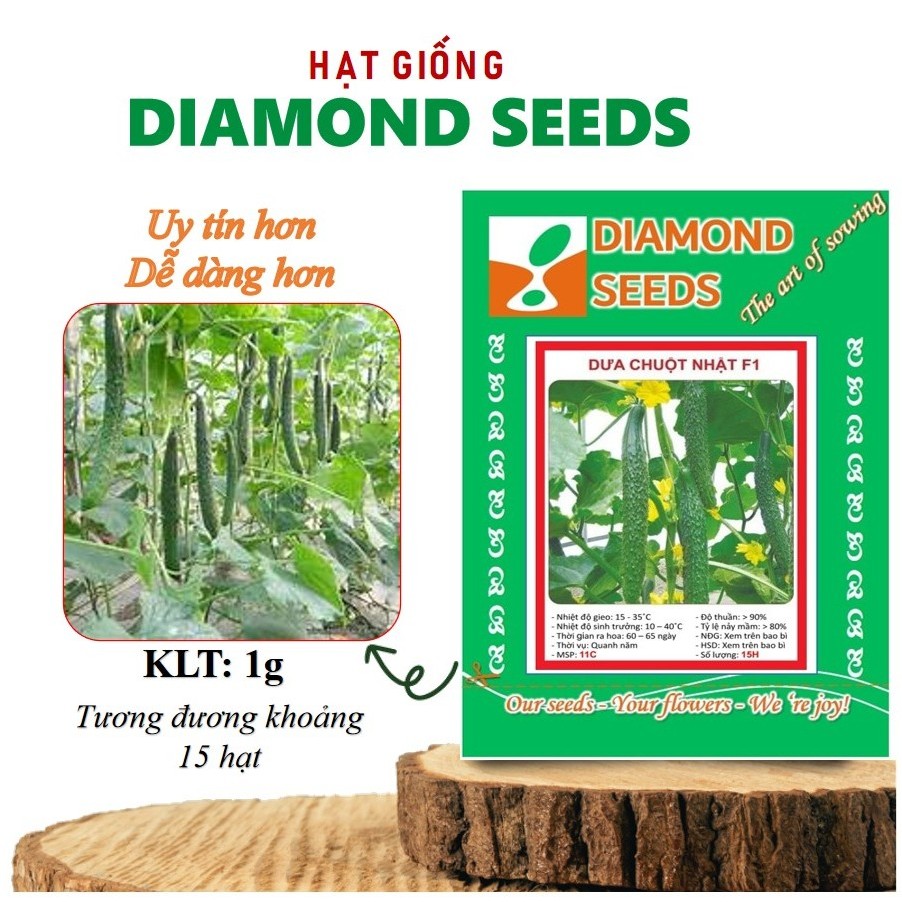 [HÀNG CHÍNH HÃNG] Hạt giống Dưa Chuột Nhật 15 Hạt