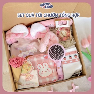 Set hộp quà Túi chườm nóng hồng xanh  giữ ấm, tặng sinh nhật bạn gái kèm hoa thiệp Weeny Land THTC