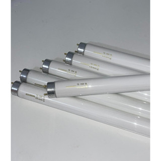 [PHỤ KIỆN CHO ĐÈN BẮT MUỖI TULI] Bóng đèn diệt muỗi TULI 10W, 15W, 18W. Cho bản nâng cấp TL-N20->N60