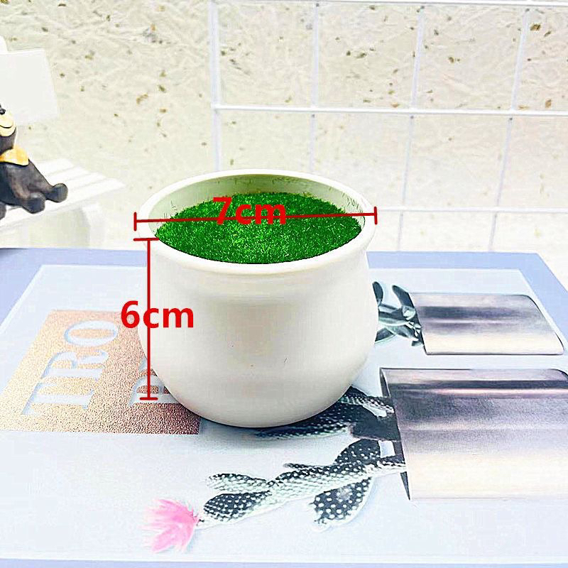 Chậu nhựa size 6cm *7cm