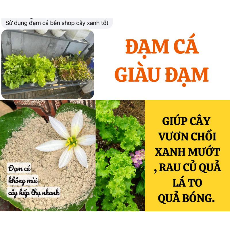 ĐẠM CÁ DẠNG BỘT 125-250LÍT