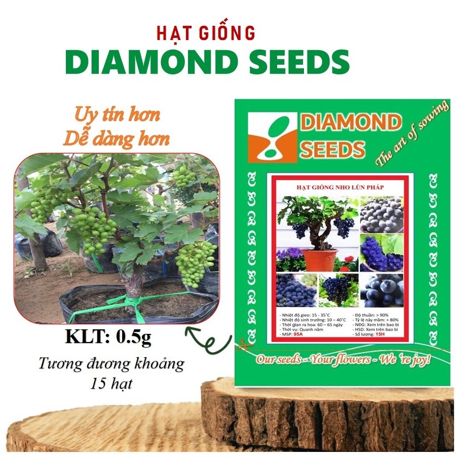 [HÀNG CHÍNH HÃNG] Hạt giống Nho lùn 10 Hạt