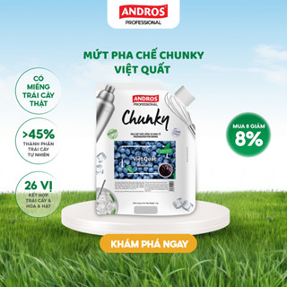 Mứt Pha Chế Việt Quất - Có miếng trái cây thật - Nguyên liệu pha chế -  ANDROS CHUNKY - 1kg