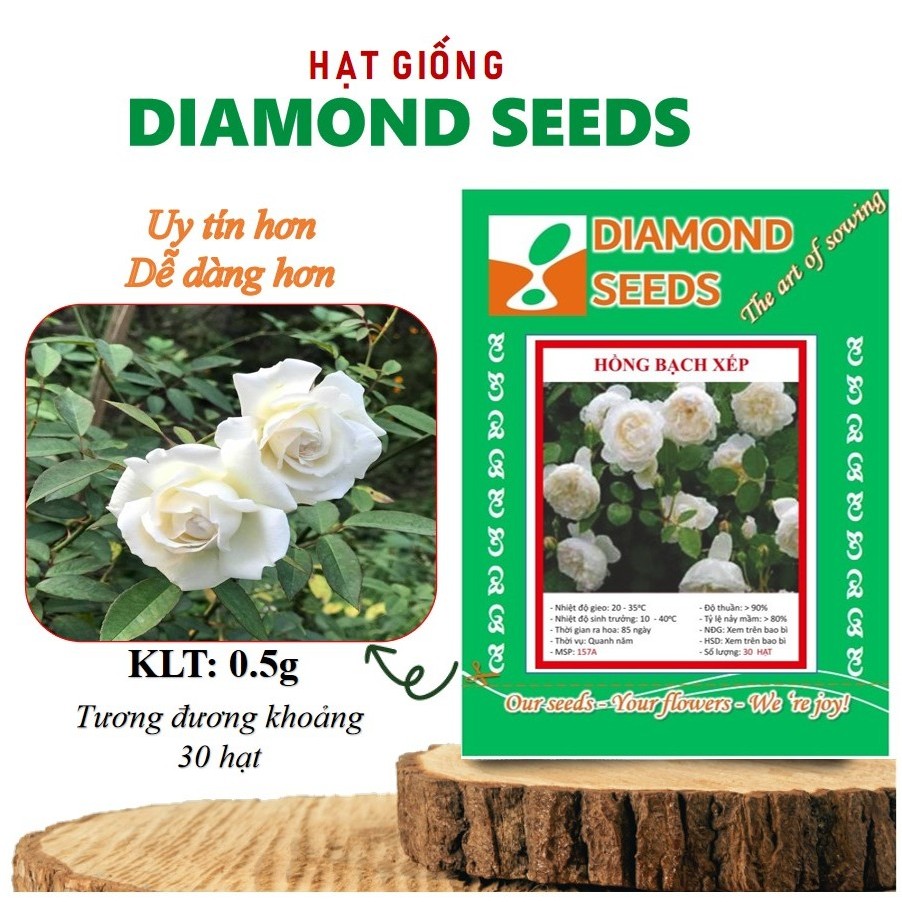 [HÀNG CHÍNH HÃNG] Gói 20 Hạt Hồng bạch trà (hồng bụi hoa thơm)